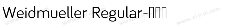 Weidmueller Regular字体转换